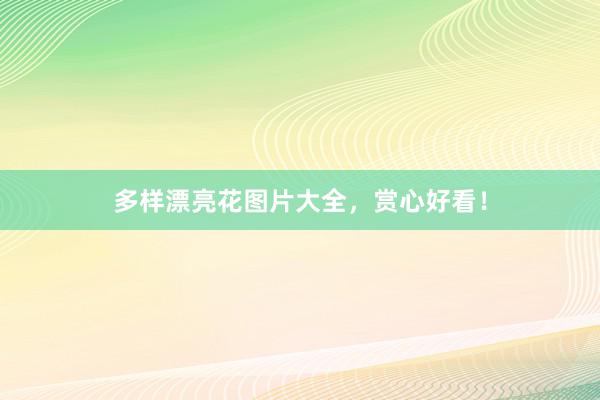 多样漂亮花图片大全，赏心好看！