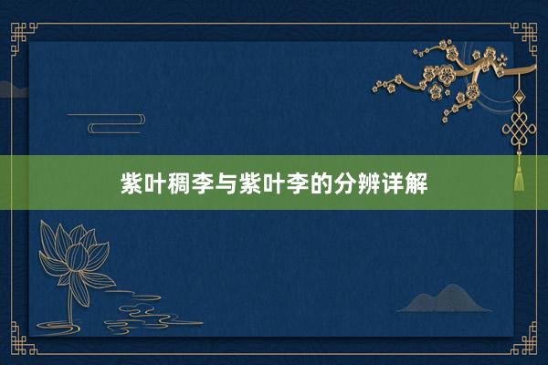 紫叶稠李与紫叶李的分辨详解