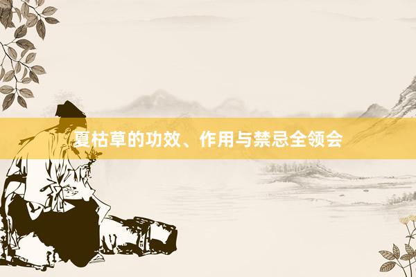 夏枯草的功效、作用与禁忌全领会