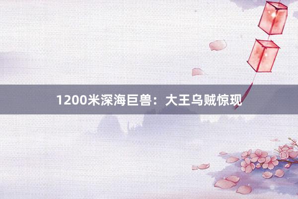 1200米深海巨兽：大王乌贼惊现